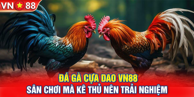 Đá Gà Cựa Dao VN88 - Sân Chơi Mà Kê Thủ Nên Trải Nghiệm