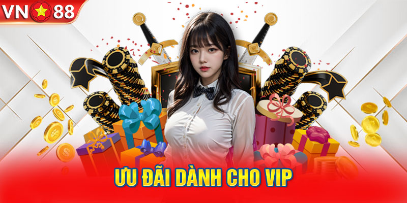 Ưu đãi dành cho VIP